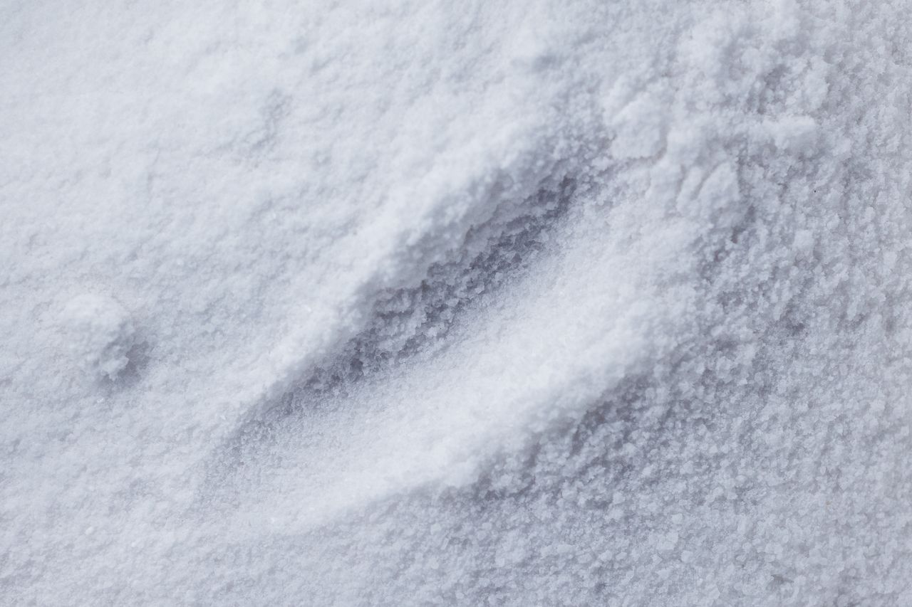 Ingredient texture study, placeholder for ingredient 02